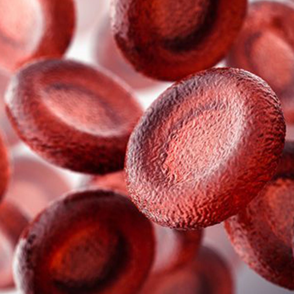 Image of blood cells