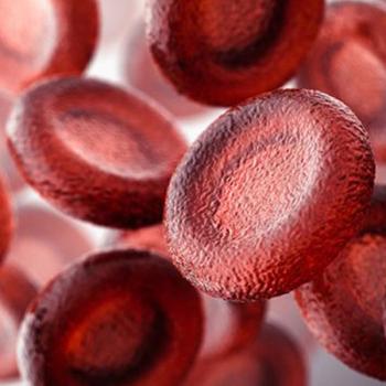 Image of blood cells