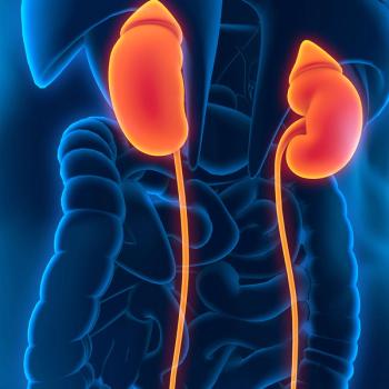 Anatomical image of person with kidneys highlighted