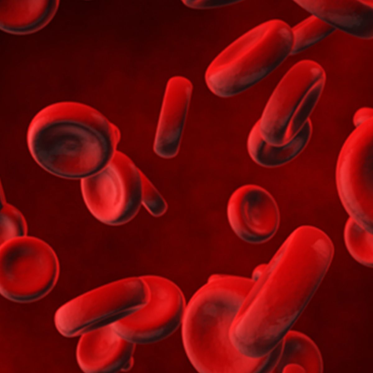 Image of red blood cells