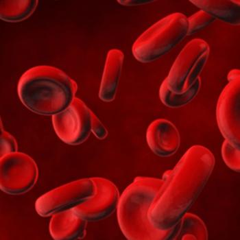 Image of red blood cells