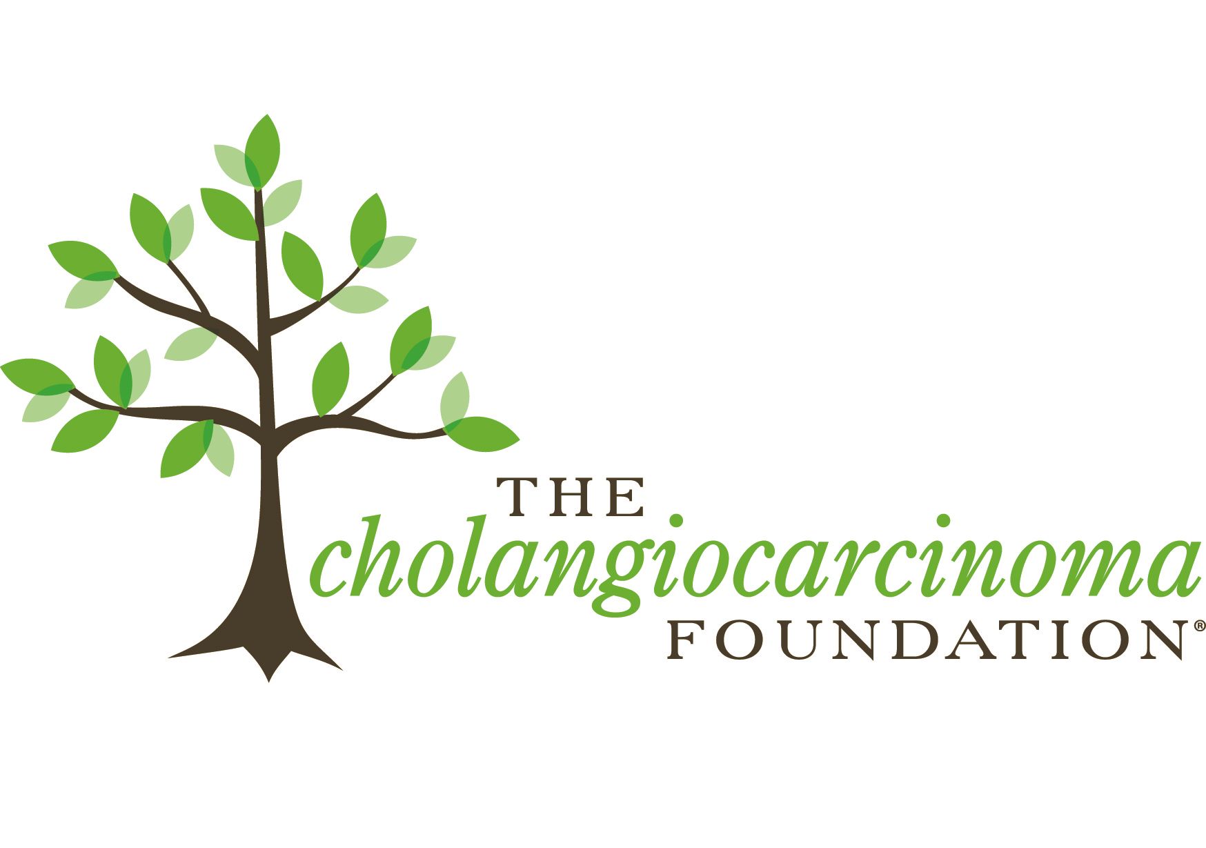 Cholangiocarcinoma Foundation