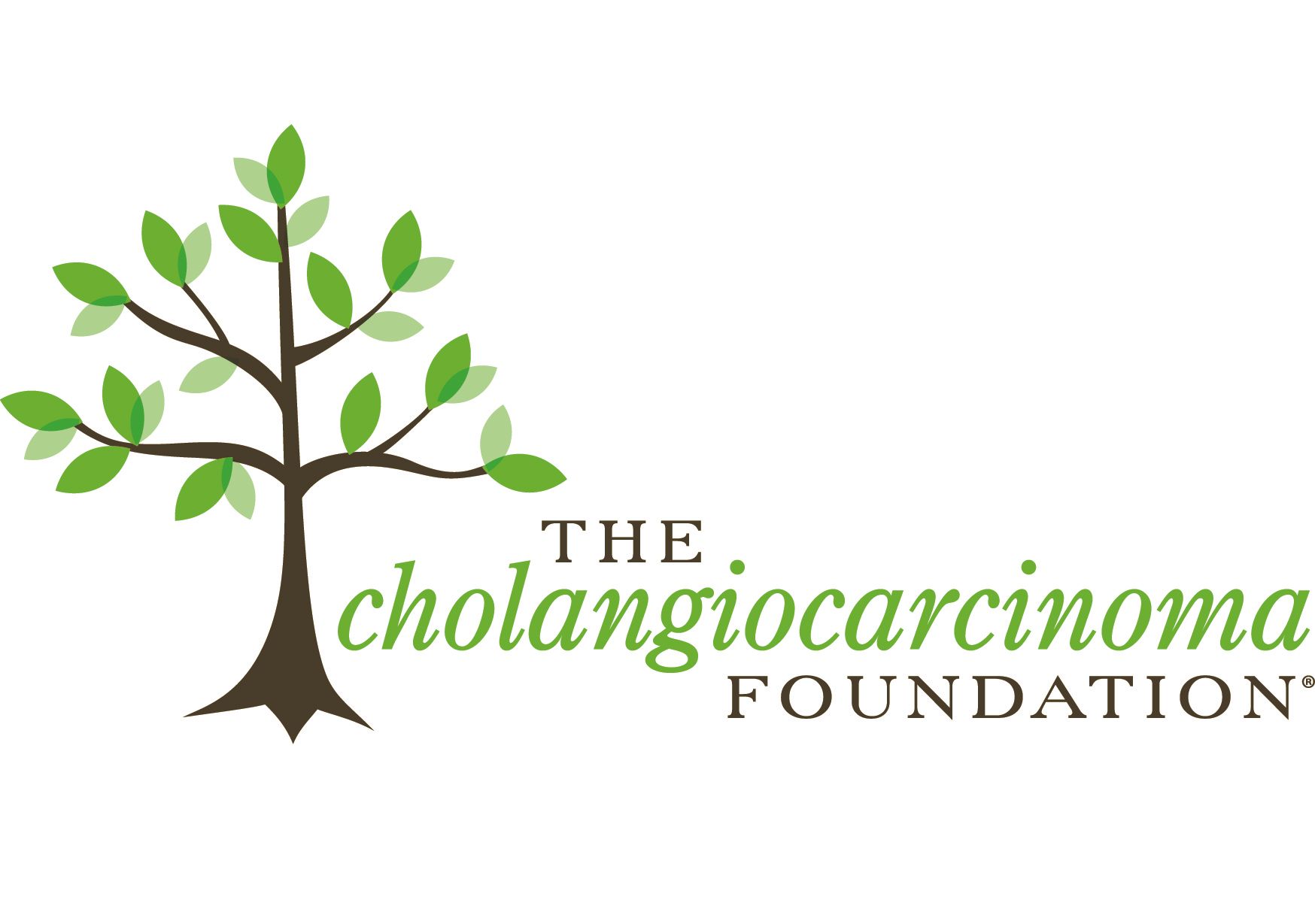 Sap Partners | Advocacy | <b>Cholangiocarcinoma Foundation</b>