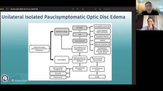 NeuroOp Guru: Unilateral isolated paucisymptomatic optic disc edema - what is that?