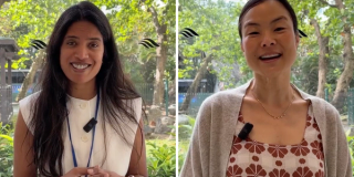 Envision Summit 2025: Looking forward to upcoming sessions