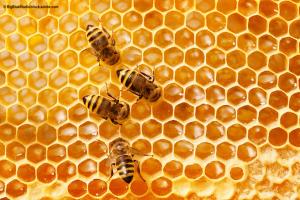 This woman had *what* living in her eye?!