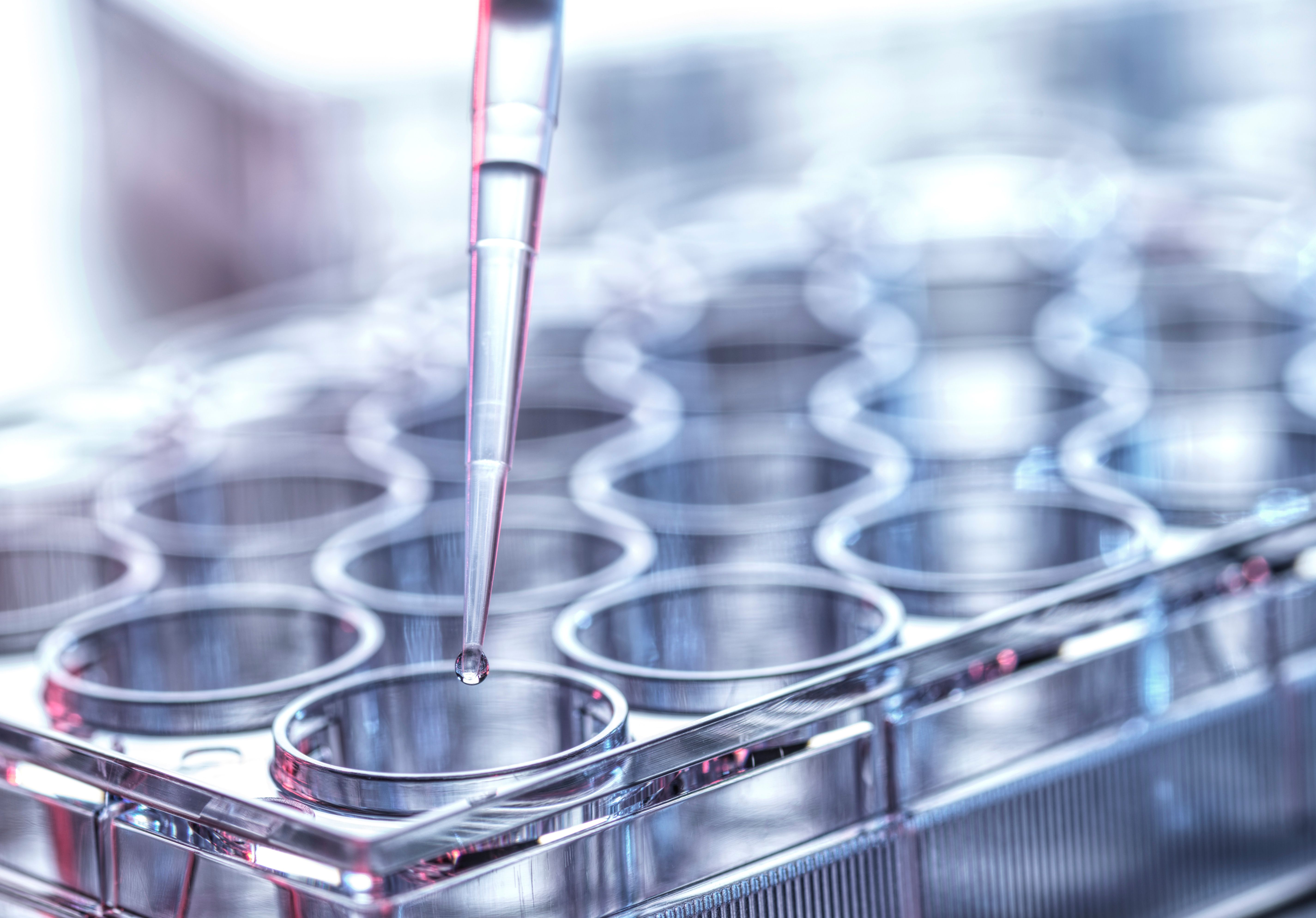 ONL Therapeutics receives FDA clearance of IND application for ONL1204 ...