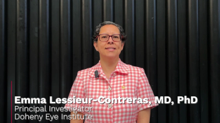 ARVO 2025: Retina extracellular vesicles in diabetic retinopathy