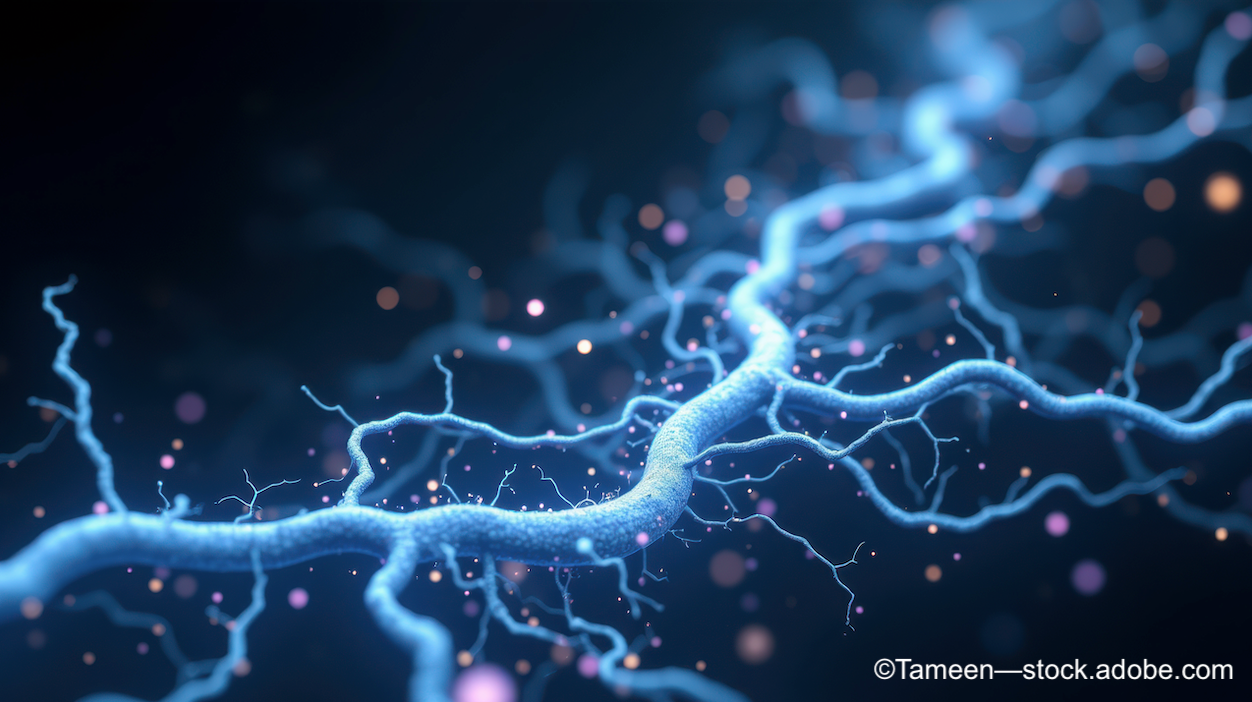 Exploring electrical stimulation therapy: A promising approach to vision loss in optic neuropathies