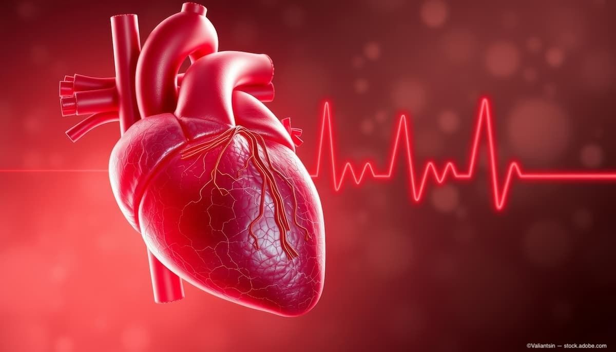 Retinal microvasculature on OCTA may predict coronary artery disease risk