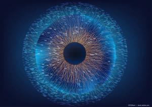 Study finds mixed real and synthetic eye images enhance ocular AI performance