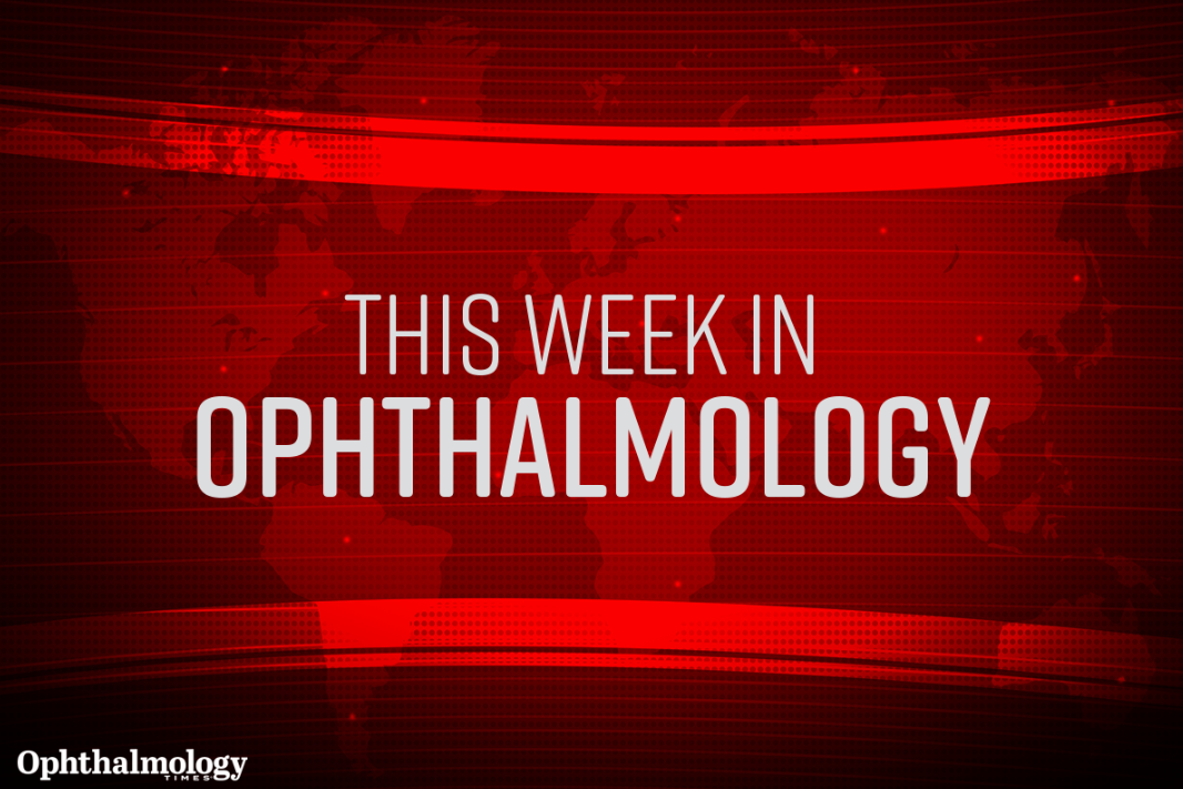 Week of November 11, 2024 Week of November 11, 2024