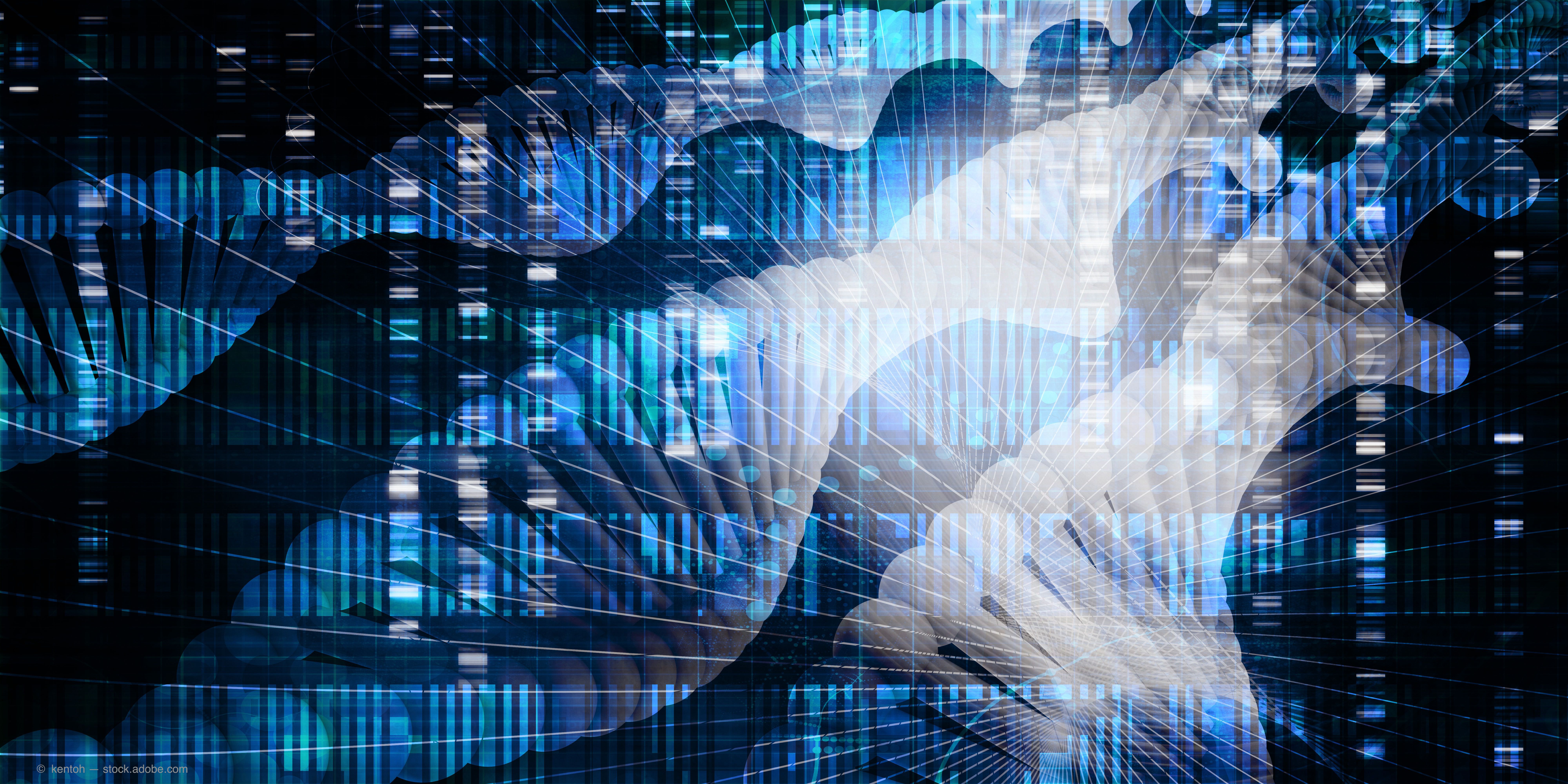 Gene therapy sparks foveal morphologic changes in LCA