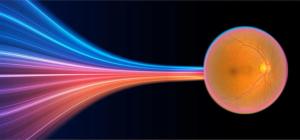 Fast and Fundus: Real-world retina decisions from the EnVision 2026 panel