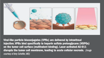 Viral-like particle bioconjugates (VPB)