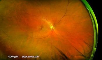 (Image credit: AdobeStock/Jevgenij) Q&A: Advancing a long-acting anti-VEGF candidate: What it means for retinal disease