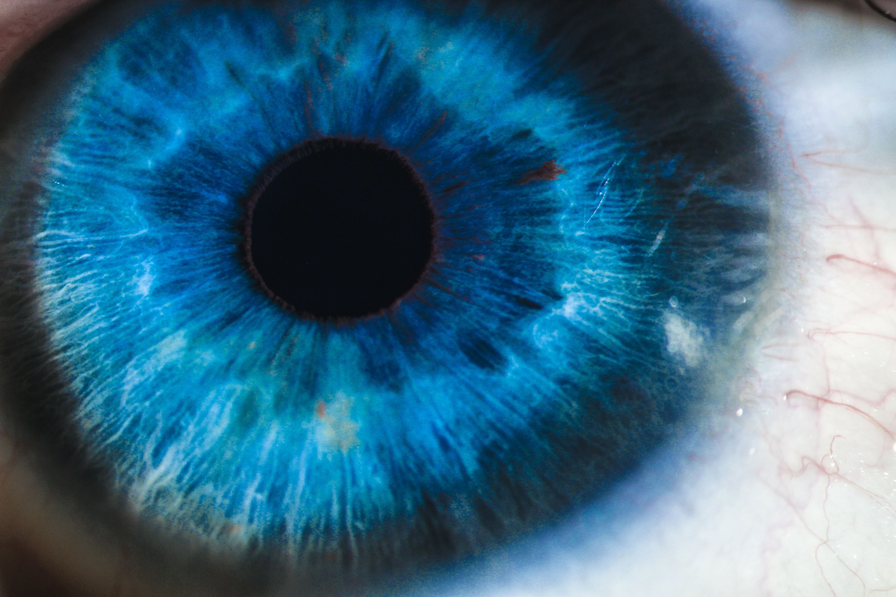 Oxurion Announces The Continuation Of Kalahari Phase 2 Part B Study In Diabetic Macular Edema Following Interim Analysis Oxurion Announces The Continuation Of Kalahari Phase 2 Part B Study In Diabetic Macular Edema Following Interim Analysis