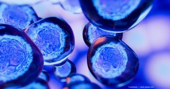 stem cell therapy 