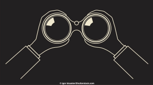 Binocular vision