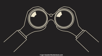 Binocular vision