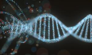 Unraveling the genetics of glaucoma