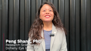 ARVO 2025: Lipid metabolism altered by CFH (Y402H) polymorphism and chronic oxidative stress in iPSC-derived RPE cells