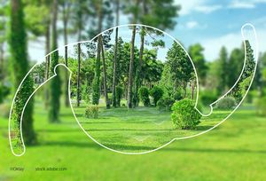 Q&A: Redefining cataract education for patients with virtual reality