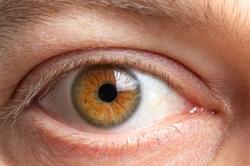 Study: Eyes may become windows into aging process
