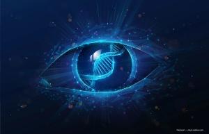 From bench to bedside: Evolving realities of gene therapy for inherited retinal diseases