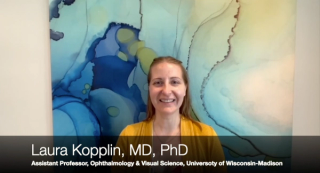 WIO 2023: Multimodal imaging in uveitis