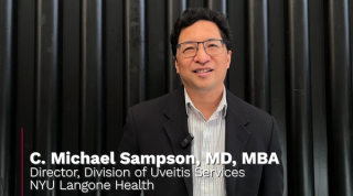 ARVO 2025: Analysis of birdshot retinochoroidopathy.