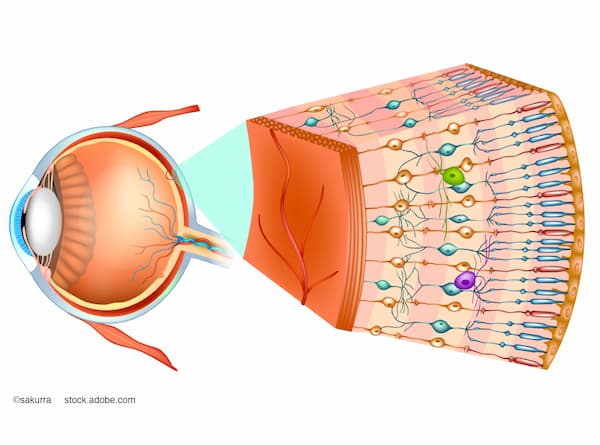 (Image credit: AdobeStock/sakurra) Balwantray C. Chauhan, PhD: In vivo functional imaging of single retinal ganglion cells with two-photon imaging