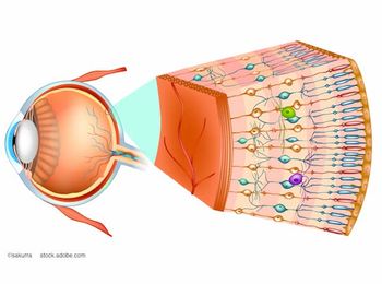(Image credit: AdobeStock/sakurra) Balwantray C. Chauhan, PhD: In vivo functional imaging of single retinal ganglion cells with two-photon imaging