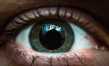 The ocular surface after CXL and PRK: A new postop therapy