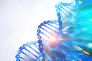 Starting from scratch on neovascular age-related macular degeneration
