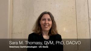 Glaucoma from the perspective of a veterinary ophthalmologist with Sara M. Thomasy, DVM, PhD, DACVO