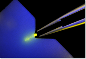 Novel modality circumvents eye drop adherence concerns