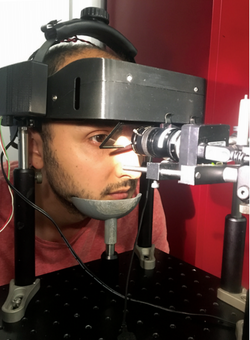 Xanthopsia Simulation Dealing with positive and negative dysphotopsias