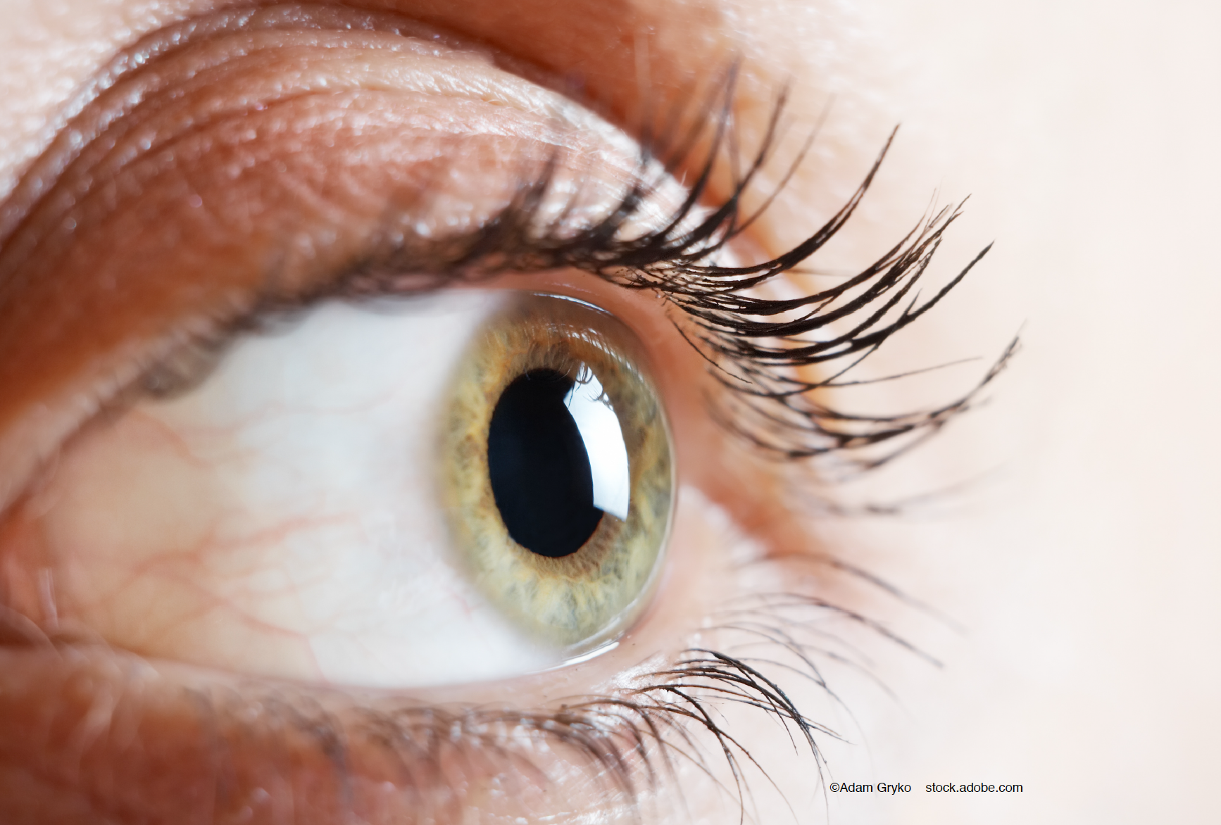 dual-chamber storage vial for corneal preservation