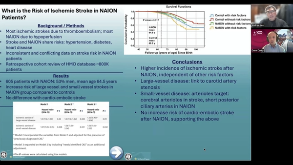 (Ophthalmology Times/Andrew G Lee/Andrew Carey) NeuroOp Guru: What a big data study reveals about NAION and stroke risk
