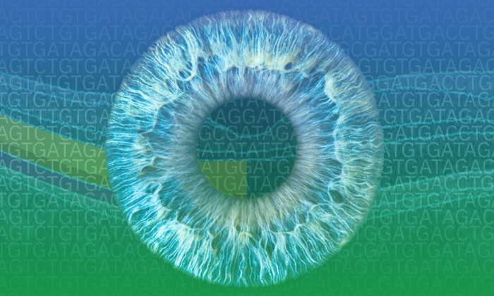 Large-scale data enables new insights into rare eye disorders. (Image courtesy of Karen Arnott/EMBL-EBI)