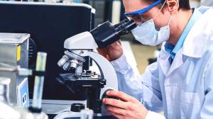 Studies: Faricimab improved and maintained vision for patients with wet AMD, DME
