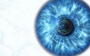 New optoretinography technique allows direct measurement of rod function in vivo