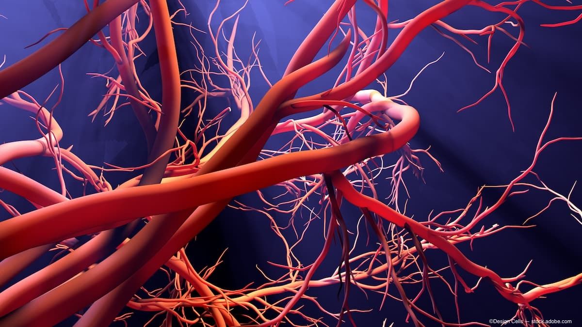 MOTS-C & BPC-157 & TB-500 | Shaanxi Bloom Tech MOTS-C & BPC-157 & TB-500 | Shaanxi Bloom Tech