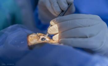 Presbyopia-correcting IOL improves vision for patients