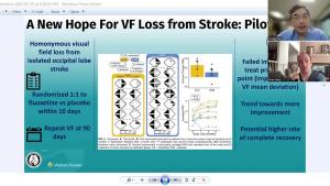 NeuroOp Guru: New hope for visual field loss from stroke