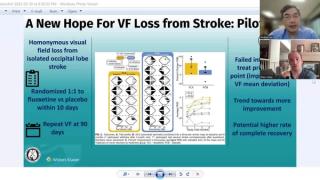 NeuroOp Guru: New hope for visual field loss from stroke