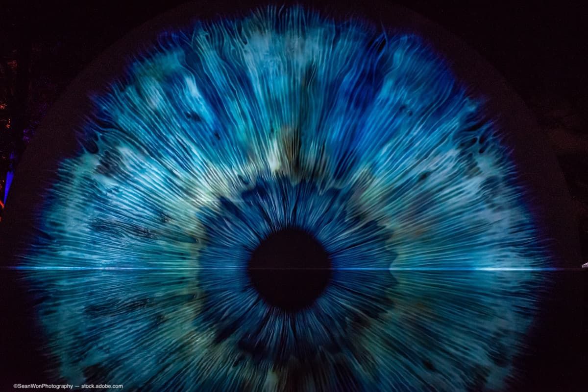 Interactive online tool, Vision Simulator, highlights vision loss ...