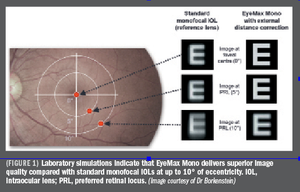 Focusing the battle against dry AMD