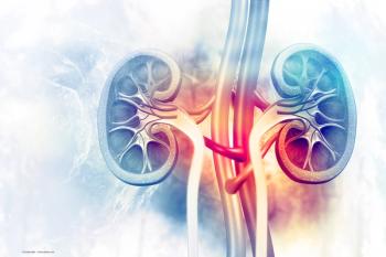 An illustration of human kidneys, viewed as a cross-section. Image credit: ©Crystal light – stock.adobe.com